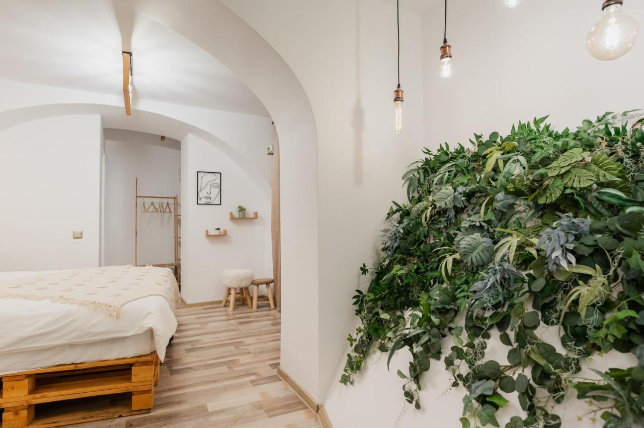 Cozee Studio - In Inima Brasovului Экстерьер фото