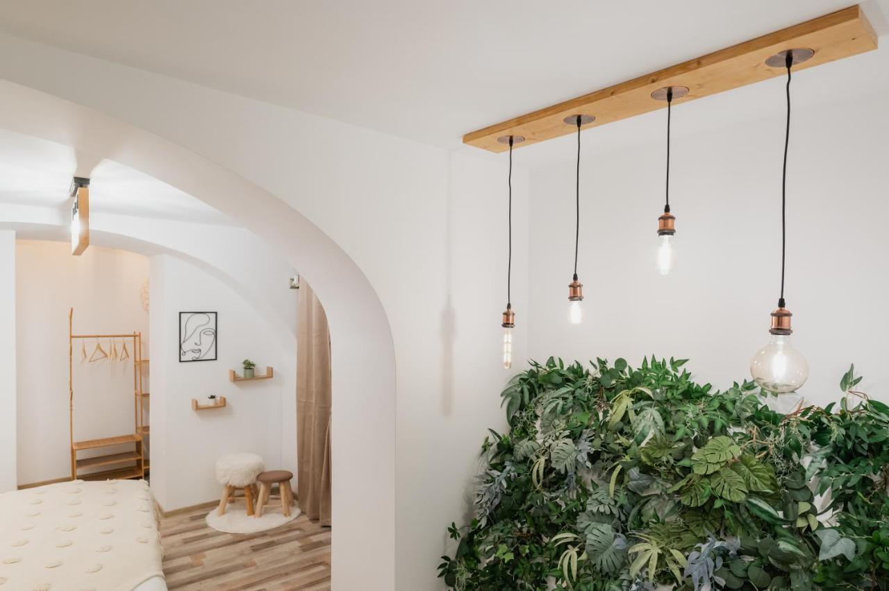 Cozee Studio - In Inima Brasovului Экстерьер фото